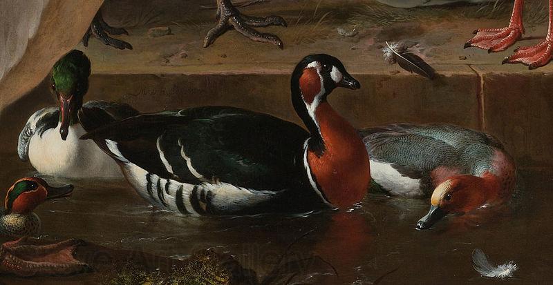 Melchior de Hondecoeter Floating Feather France oil painting art
